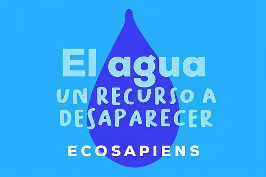 El Agua, Un Recurso a Desaparecer
