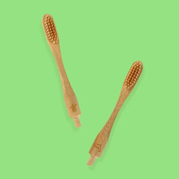 Repuesto de Cabeza Intercambiable de Cepillo de Dientes en Bambú Ecosapiens - Secondary
