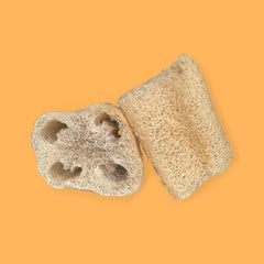 Luffa / Estropajo Ecosapiens