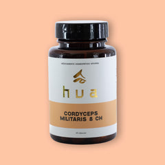 Kit Hackea Tu Realidad