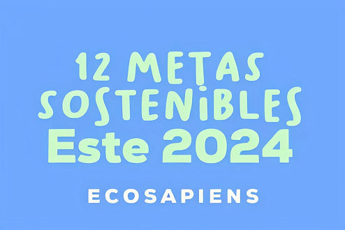 12 Metas Sostenibles este 2024