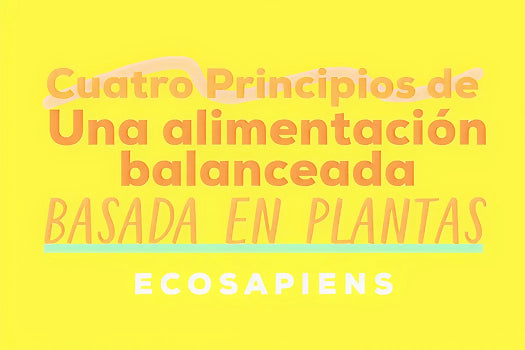 4 principios de una alimentación balanceada basada en plantas