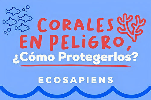 Corales en Peligro, ¿Cómo Protegerlos?