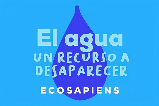 El Agua, Un Recurso a Desaparecer