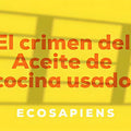 El Crimen del Aceite de Cocina Usado