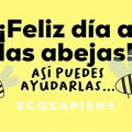 ¡Feliz día a las abejas! Así puedes ayudarlas...