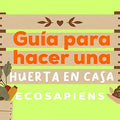 Guía para hacer una Huerta en Casa
