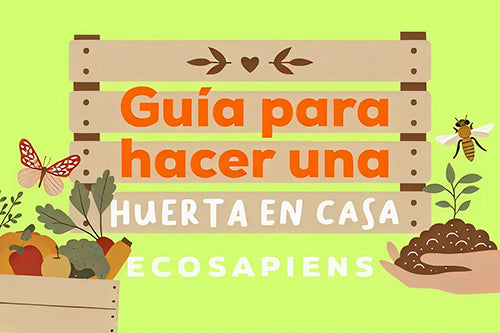 Guía para hacer una Huerta en Casa