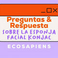 Preguntas y Respuestas Sobre La Esponja Konjac