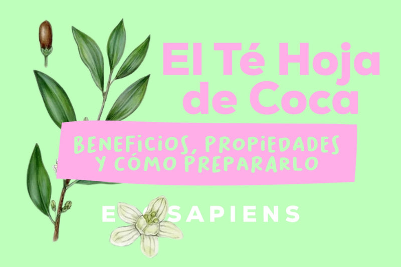 El te hoja de coca, beneficios, propiedades y como prepararlo