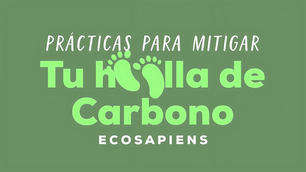 Prácticas para mitigar tu huella de carbono