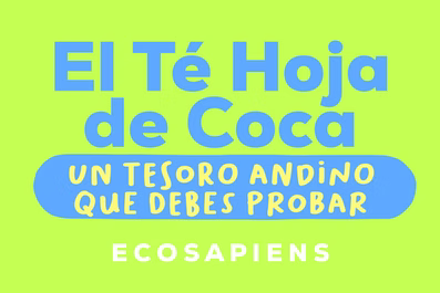 El Té de Hoja de Coca: Un Tesoro Andino que Debes Probar