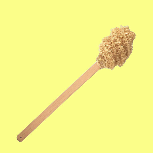Cepillo para Lavar Baños Ecosapiens