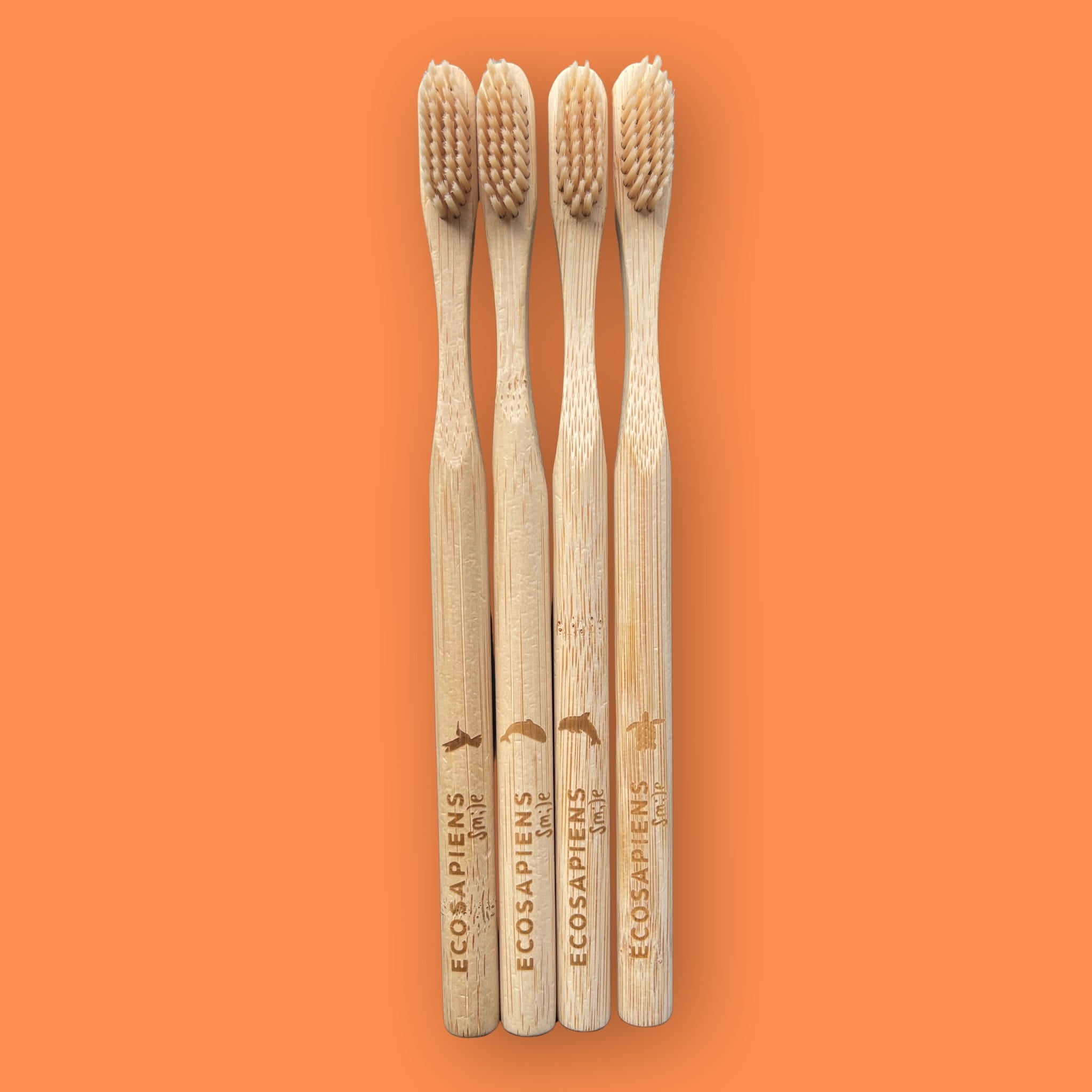 Cepillo de Dientes de Bambú Ecológico Ecosapiens | Cerdas Suaves y Media