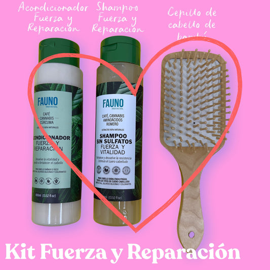 Kit Fuerza y Reparación