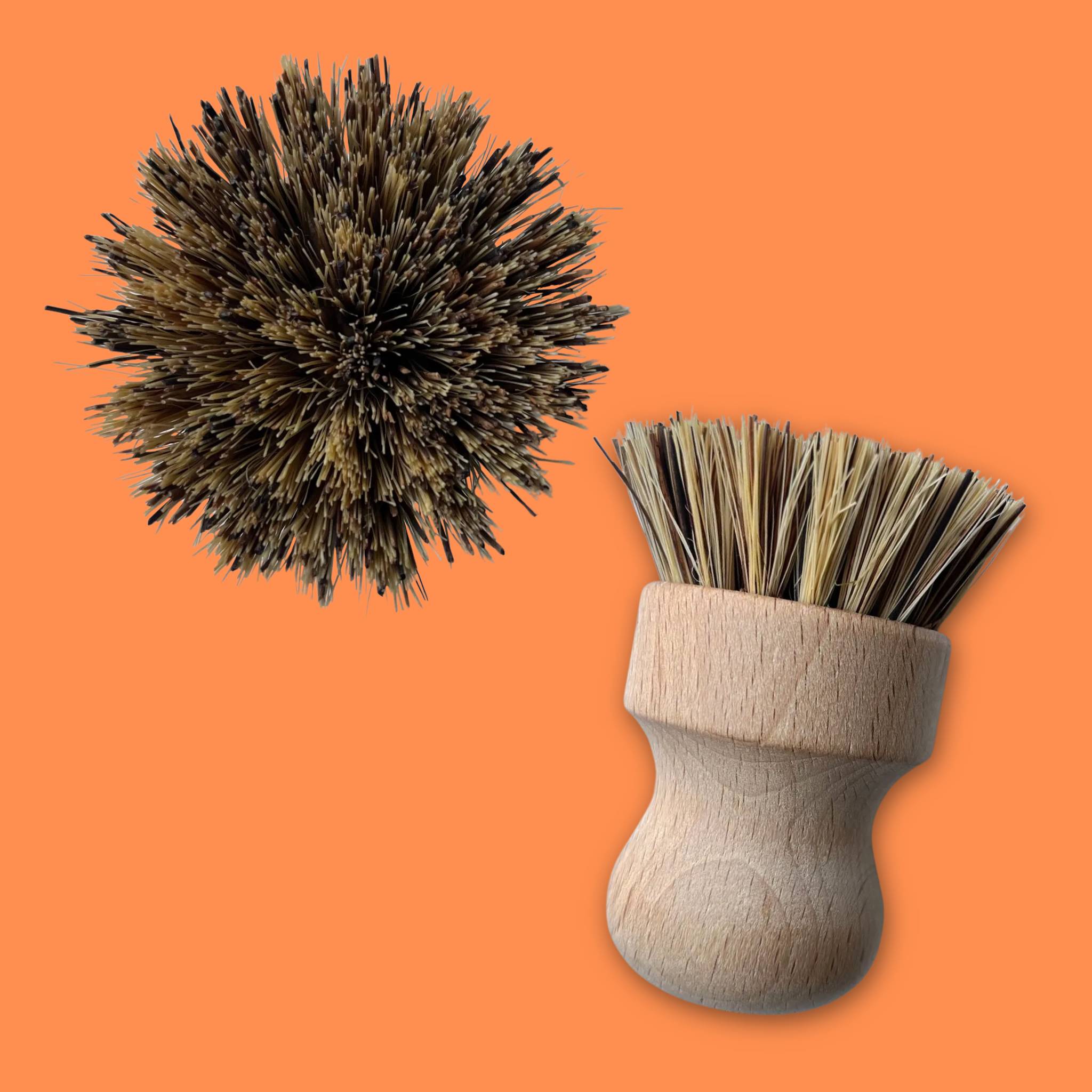 KIT Ecoloza - Gallery 4