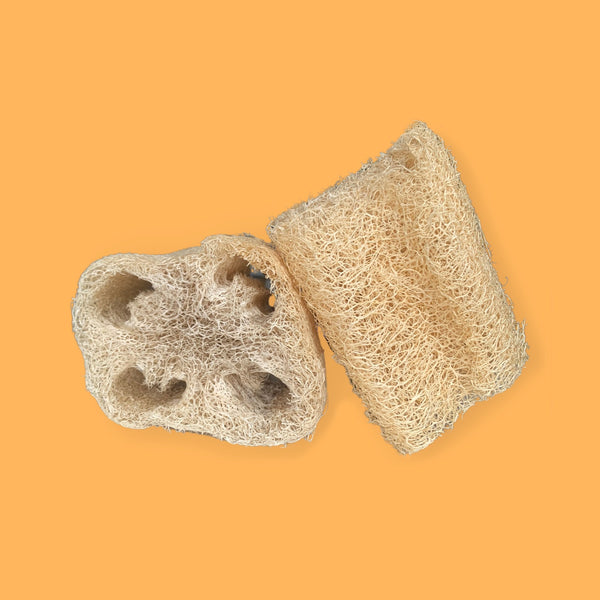 Luffa / Estropajo Ecosapiens - Secondary