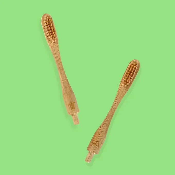 Repuesto de Cabeza Intercambiable de Cepillo de Dientes en Bambú Ecosapiens