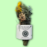Sahumerio Pequeño Ayurveda Ancestral - Thumbnail 2