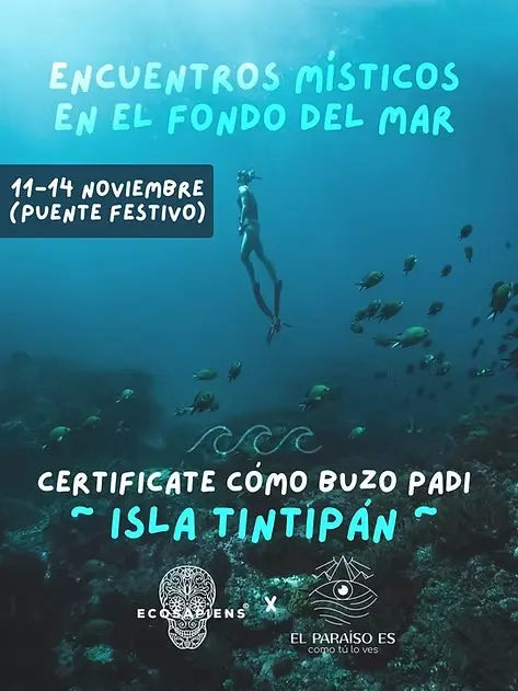 Tintipán 2022
