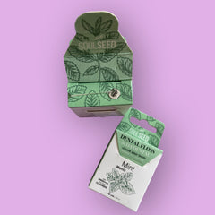 Seda Dental de Menta 50 mts Soul Seed