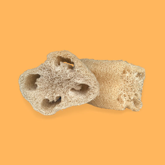 Luffa / Estropajo Ecosapiens