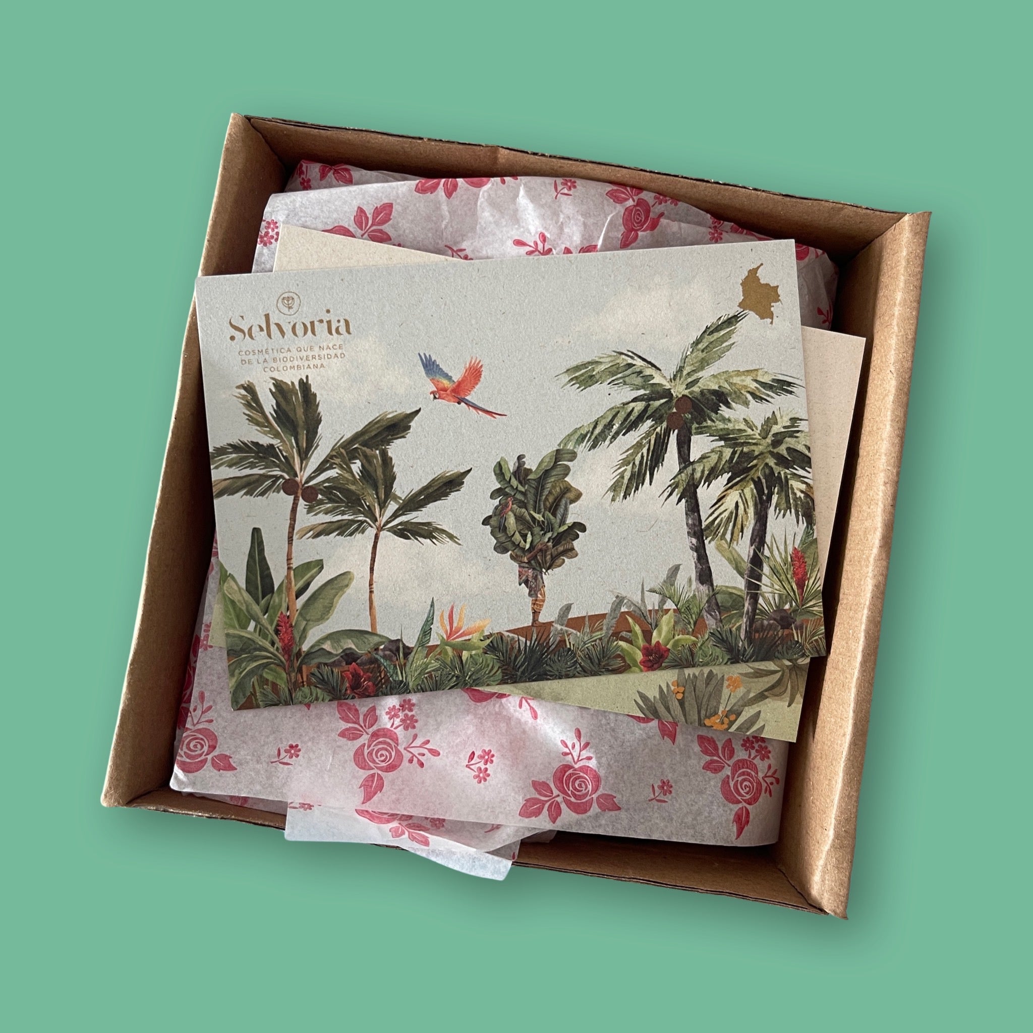 Kit Rutina Facial Completa Selvoria