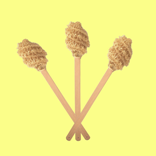 Cepillo para Lavar Baños Ecosapiens