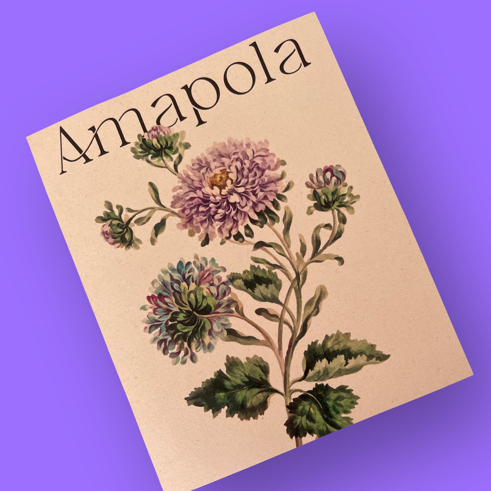 Ritual Nuevos Inicios Amapola